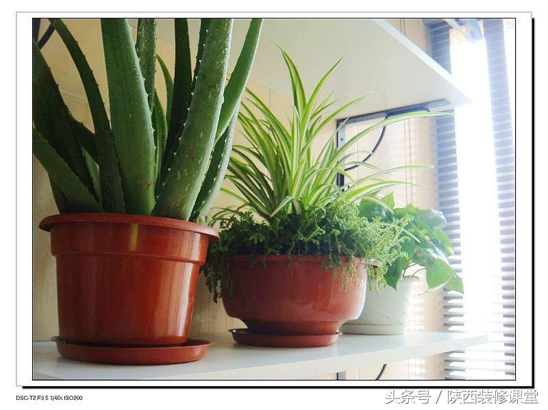 60平米改造三室一厅,8平米小户型蜗居改造