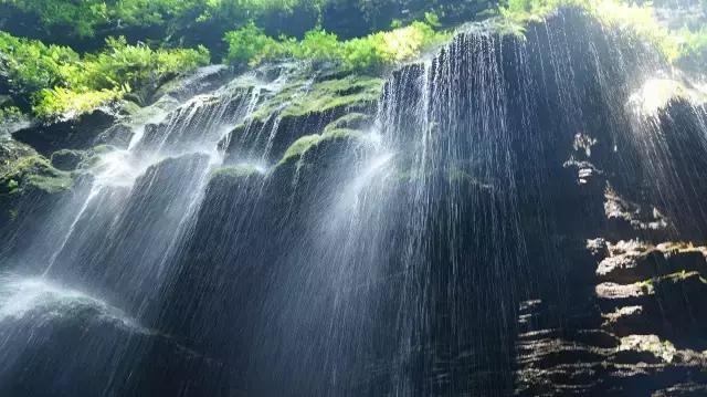 最著名的古丈毛尖茶品牌,中国十大名茶古丈毛尖