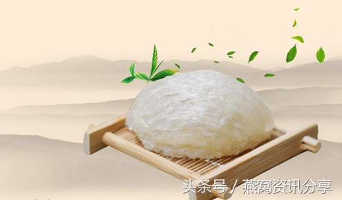 燕窝最全百科知识,燕窝科普类趣味短视频