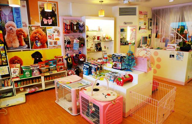 养狗之前请想好,养狗一定要知道的事