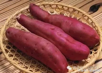 健身快速增肌的食物有哪些,健身蛋白质含量高的食物有哪些