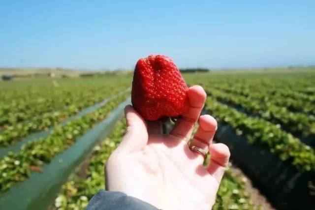 深圳情人岛潜水避坑指南,深圳情人岛自由行攻略