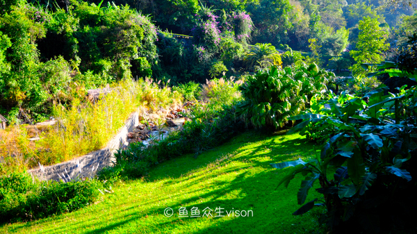 腾冲热海泡温泉旅游攻略,踏上腾冲温泉之旅享受泡汤的美好