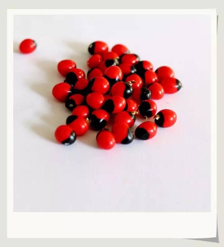 误食相思子解决办法,相思子误食可以查出来嘛