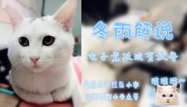 「萝莉扒瓜」超级银河战队的疯癫日常！笑笑的秃头协会！