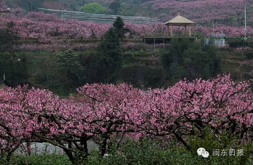沙埕大白鹭村,福建沙埕镇小白鹭村沙滩