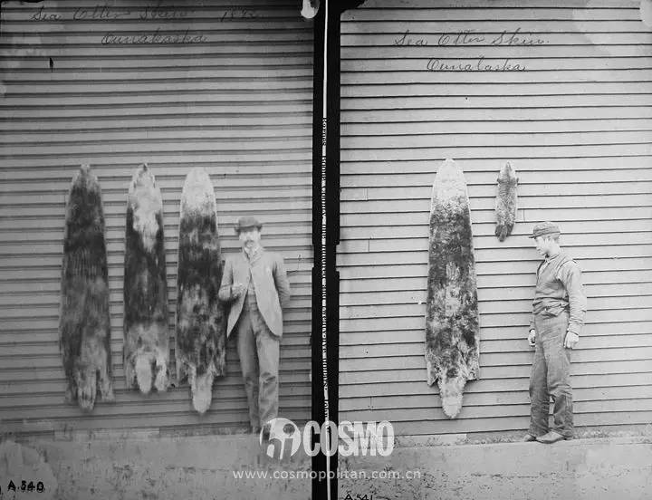 比雪地靴还好的鞋,canadagoose哪款是鹅绒