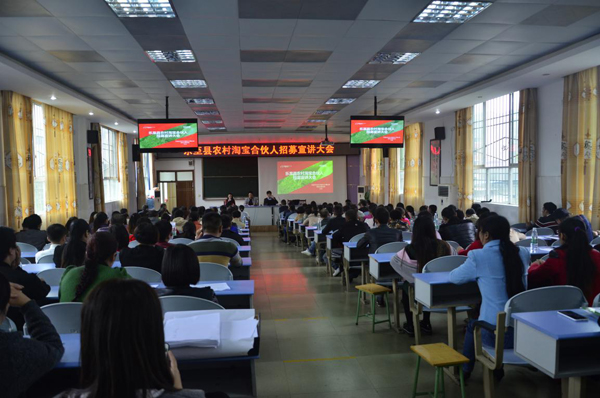 农村淘宝电商平台,乡村振兴农村淘宝