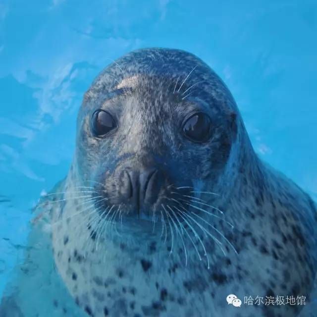 哈尔滨公交卡的优惠政策,哈尔滨公交卡1000元太多怎么办