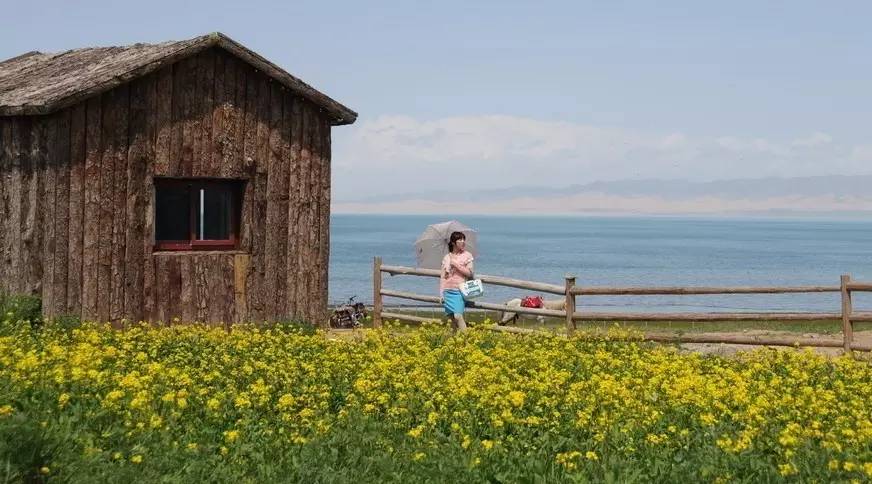 这才是青海人，终于有了答案