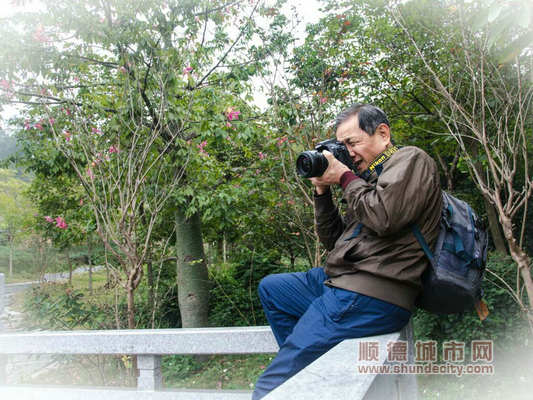 采风活动,采风的活动