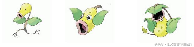 宠物小精灵里面的鹰形小精灵盘点,可以进化多种形态宠物小精灵