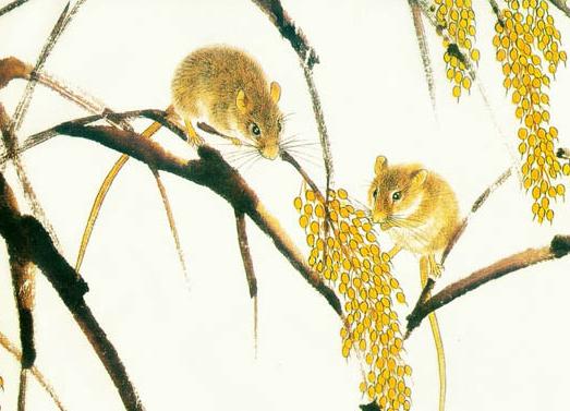 东南西北中五行方位,东南西北指生肖