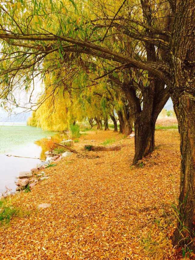 逃离雾霾去旅行,我们要逃离雾霾到美丽的岛屿过冬