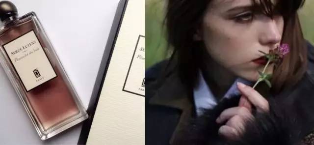 祖马龙芦丹氏,祖马龙芦丹氏阿蒂仙