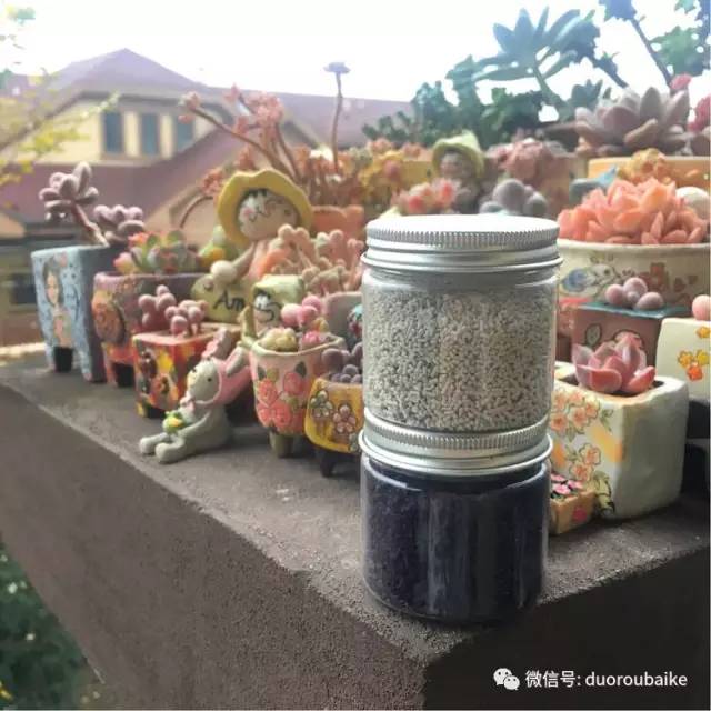 太实用了!图解多肉的配土及用药!