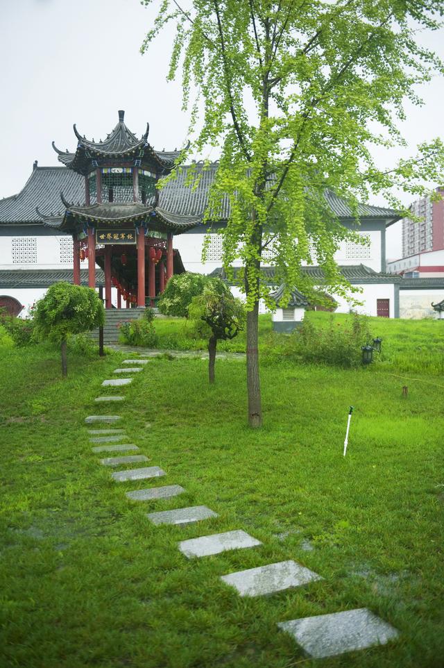 保定体育学校有哪些,保定市体育运动学校地址电话