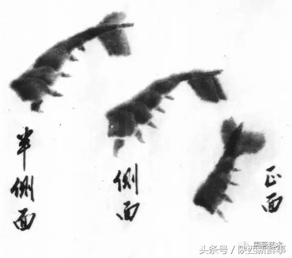齐白石画虾步骤,齐白石画虾的作品叫什么名字