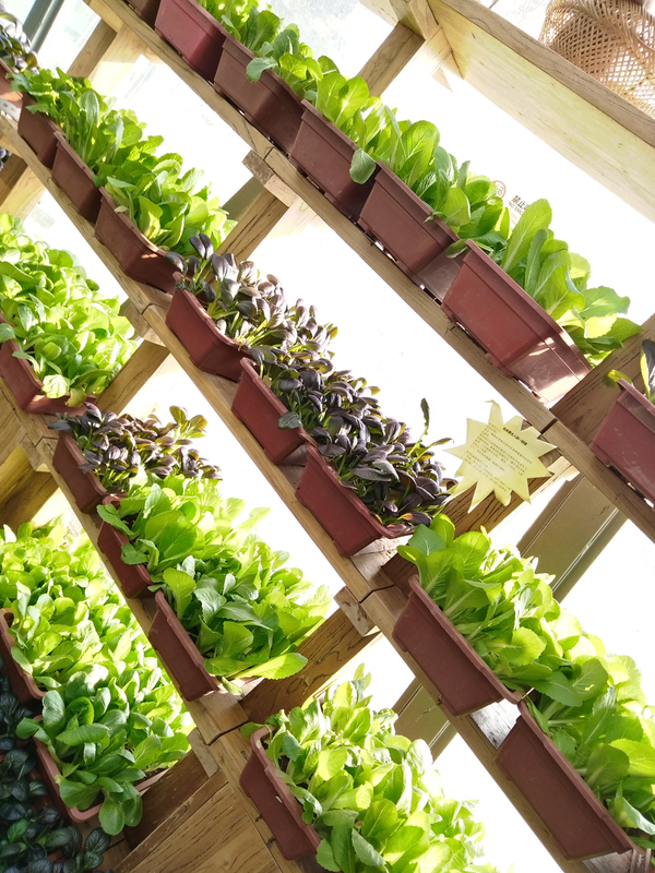 一秒提升华为流畅度,手机测评华为畅享6s