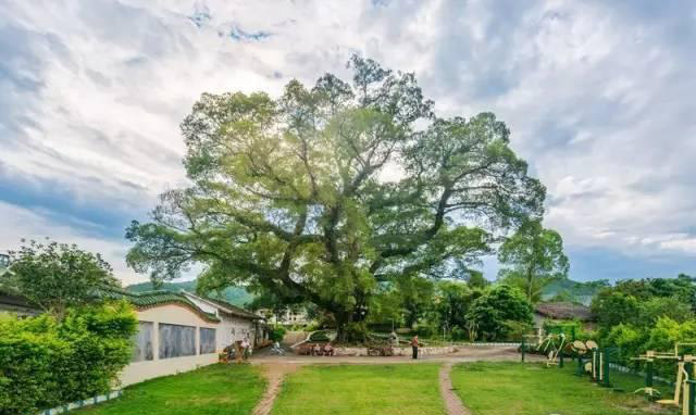 世界客都没什么了不起，只是美得让人无法呼吸