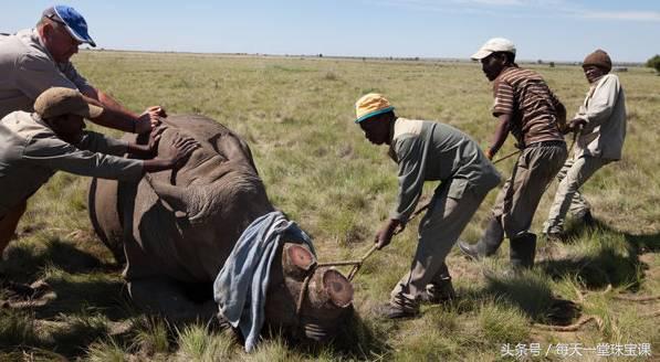 这四种有毒的玉石请远离,四种最害人的玉石