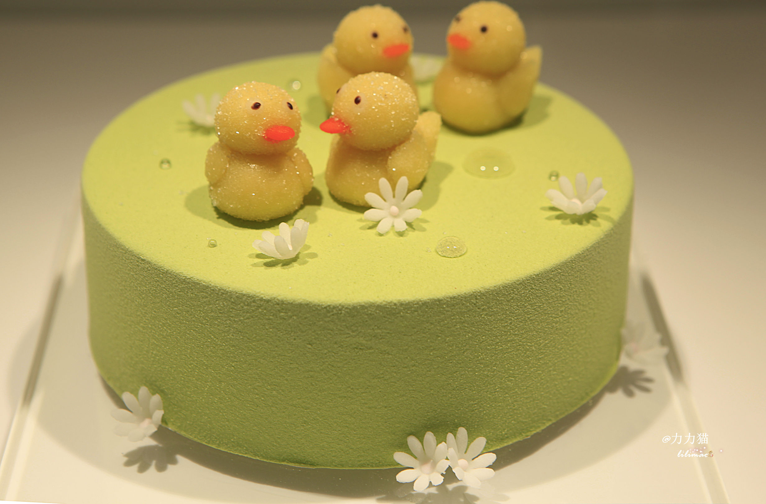 罗红摄影艺术馆蛋糕价格,罗红艺术馆黑天鹅蛋糕