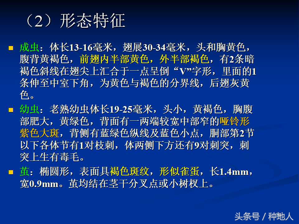 会吃叶子的虫子有哪些,哪些虫子爱吃树叶虫