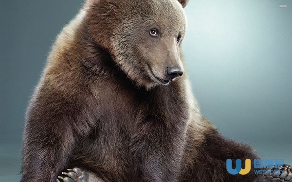 涨姿势！风油精滴到“不可描述”的地方、“蟑螂奶”比牛奶有营养