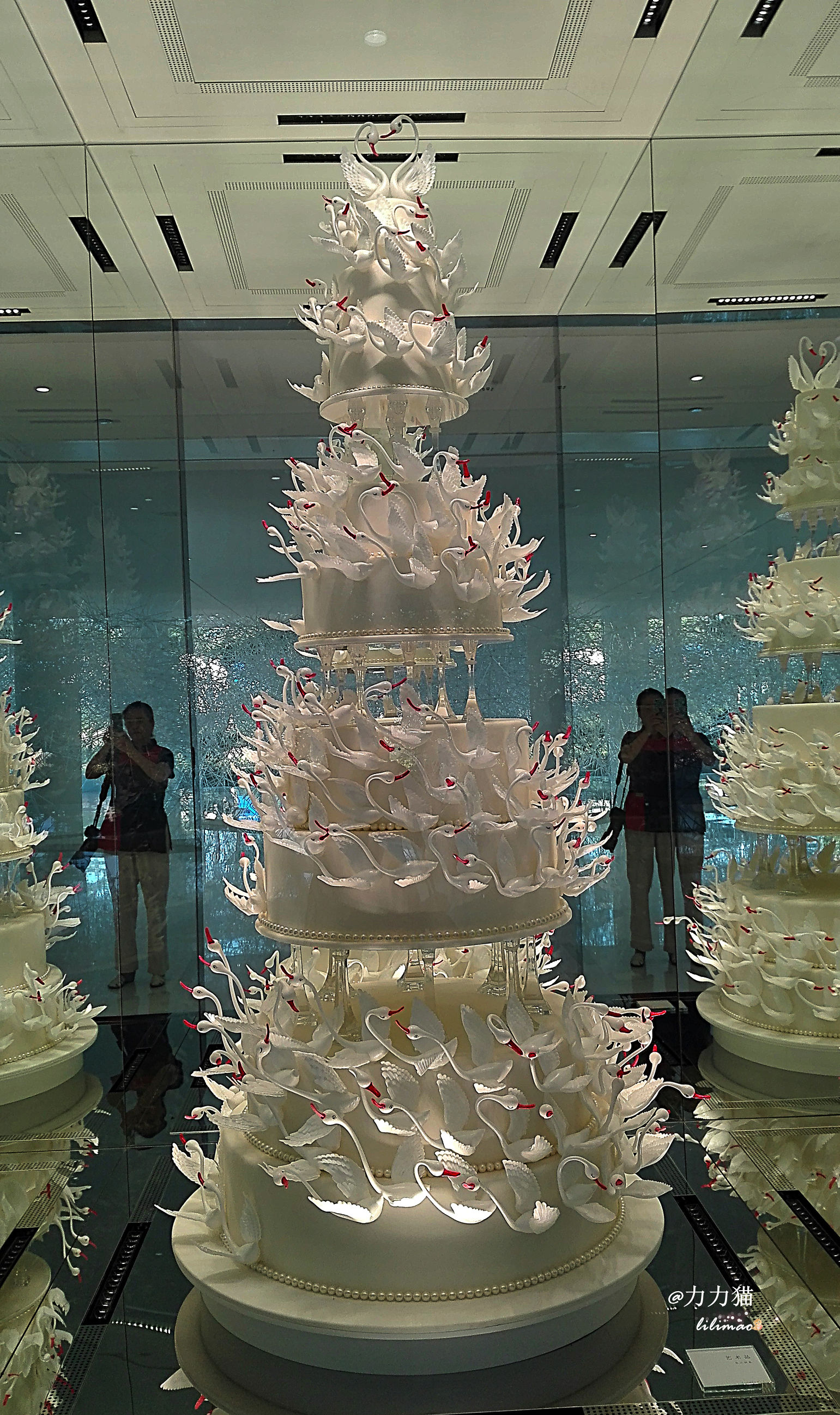 罗红摄影艺术馆蛋糕价格,罗红艺术馆黑天鹅蛋糕