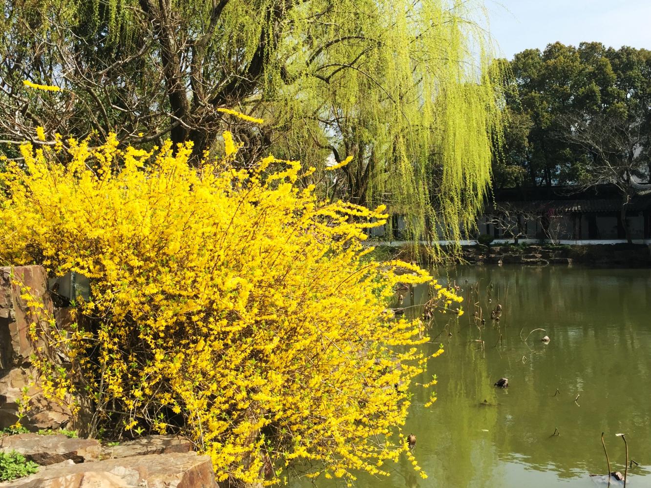 澶粨鍗楀洯鍘嗗彶鑳屾櫙,鍥捐澶粨鍘嗗彶