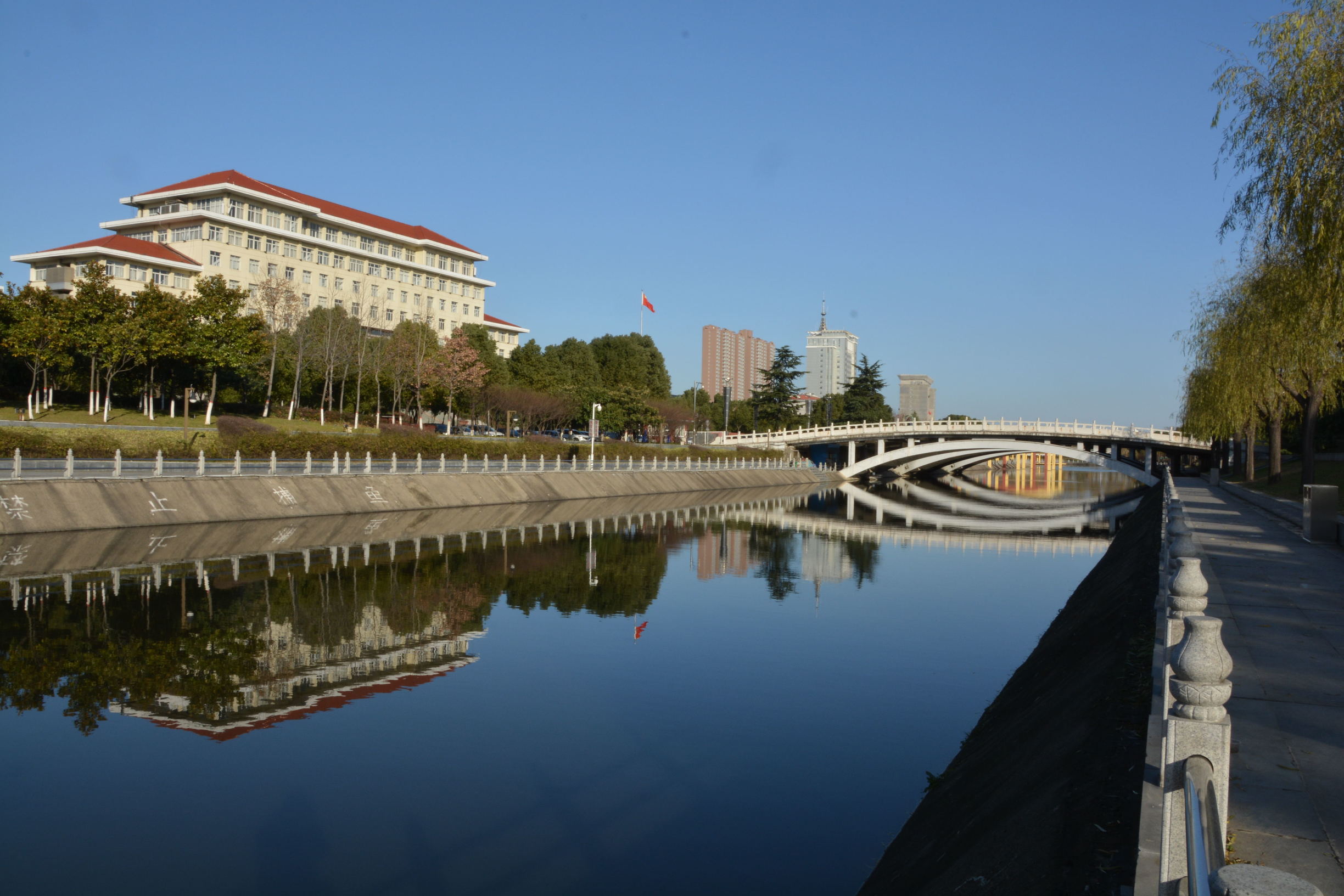 尼康D5200扫街,狗头基本够用