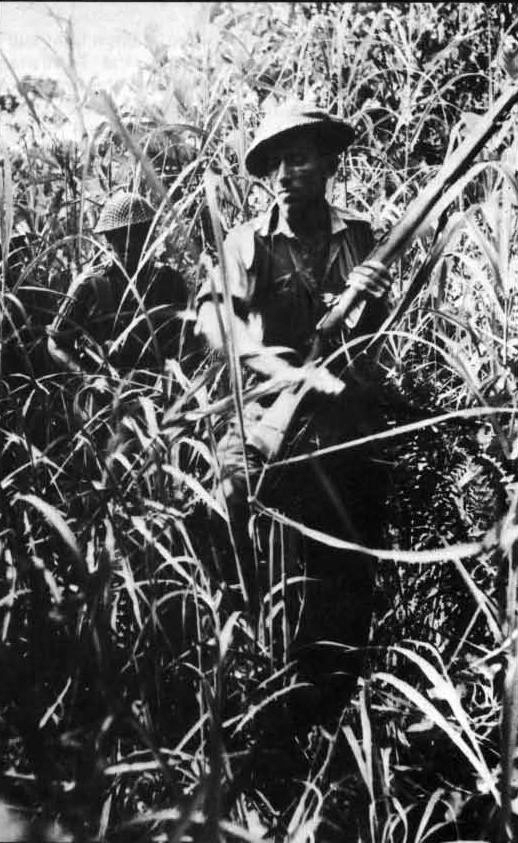 科科达战役视频,科科达小径在哪里