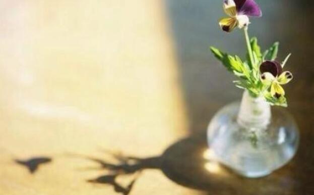 正能量疗愈心理疾病,舌癌的最佳消息