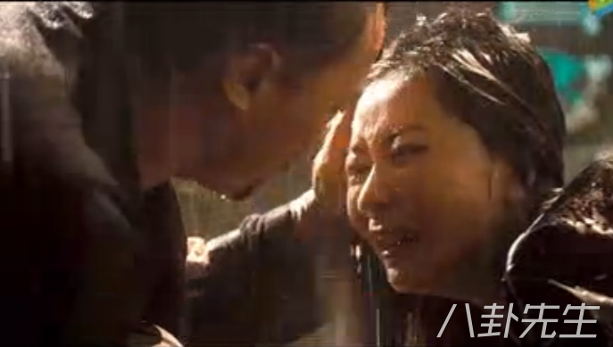 摆渡人不算王家卫的电影吗,摆渡人电影为何是烂片