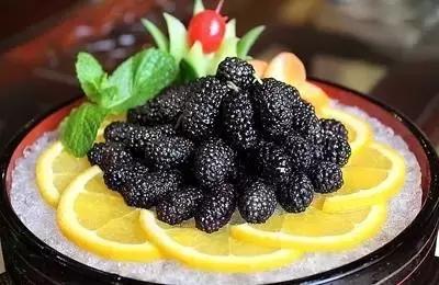 桑树全身都是药材,桑树哪些部位可以入药及功效