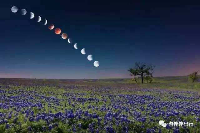 游伴伴|2016年最让人叹为观止的照片!