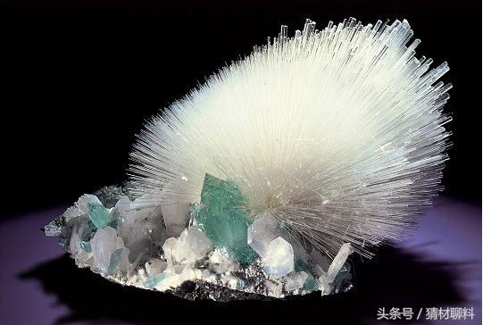 鱼竿很硬但是弹性不行,鱼竿又轻强度又高