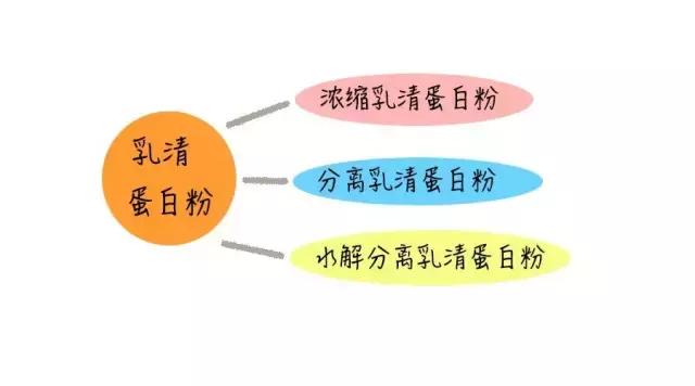 蛋白粉全系列测评,所有原味蛋白粉测评