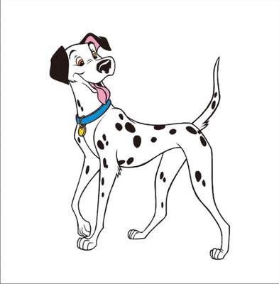 斑点狗品种介绍大全及图片,斑点狗的品种