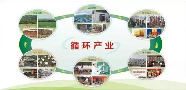 致富好项目有哪些,致富有啥好点子