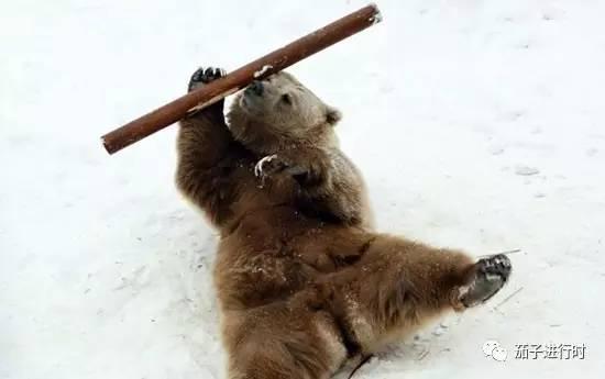 搞笑版│神一般的国家看战斗民族花式迎接圣诞节