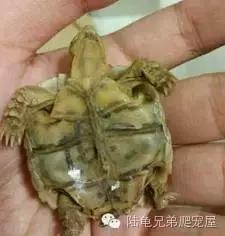 其实原因,其实所有的问题都源来于自身问题