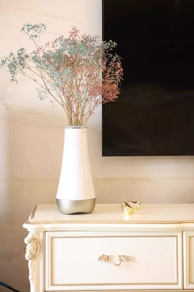 绅华府—圣诞气息的欧式风格，温馨浪漫奢华