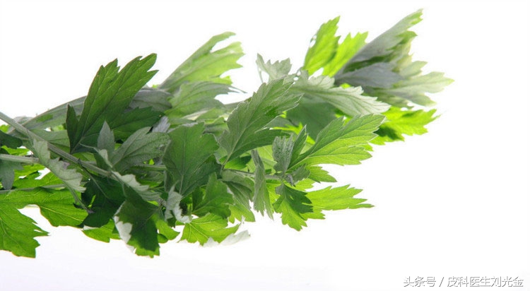 端午节的艾叶有什么作用呢,端午节的艾草有什么功效