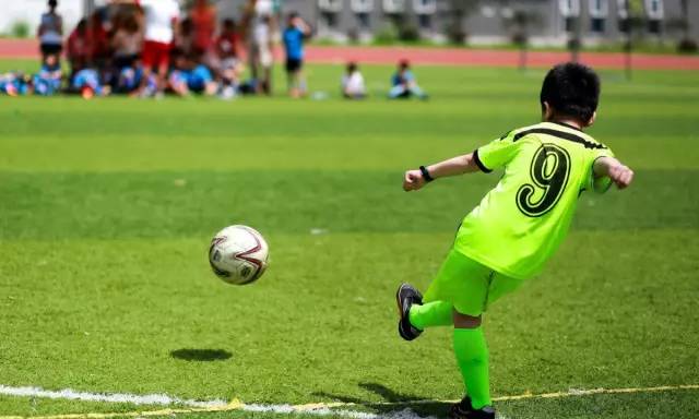 教练怎么获取线上资源,教练应该如何训练队员