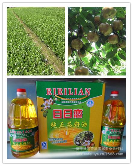 美醉的风景、精巧的技艺……邵阳的互联网+村淘、村游、村织棒棒哒！