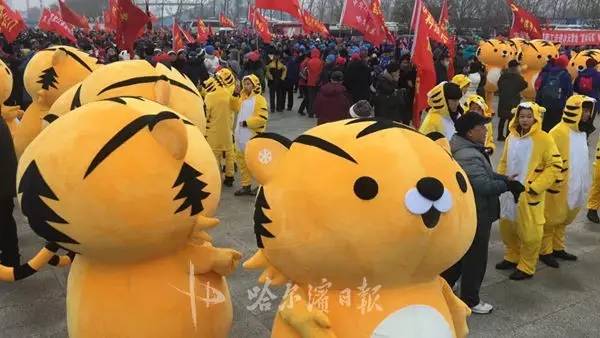 全民冰雪活动日冰城73项活动等你参与丨重点旅游景区推出赠票、全免票、半价优惠票、折扣票等优惠