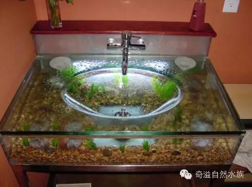 鱼缸摆放位置与属相,鱼缸的摆放位置以及风水影响