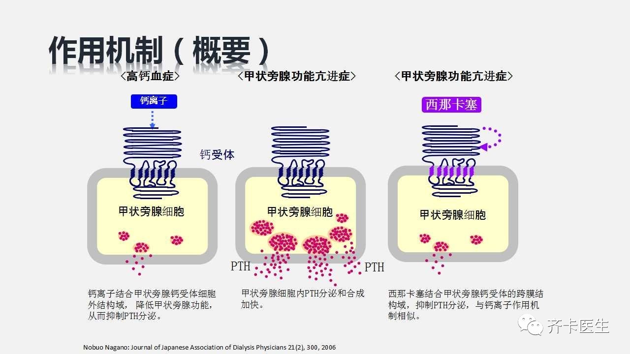 西那卡塞同类药,西那卡塞治疗什么病