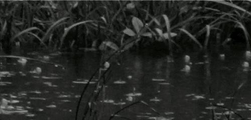 雾霾的最大元凶是什么,雾霾真相